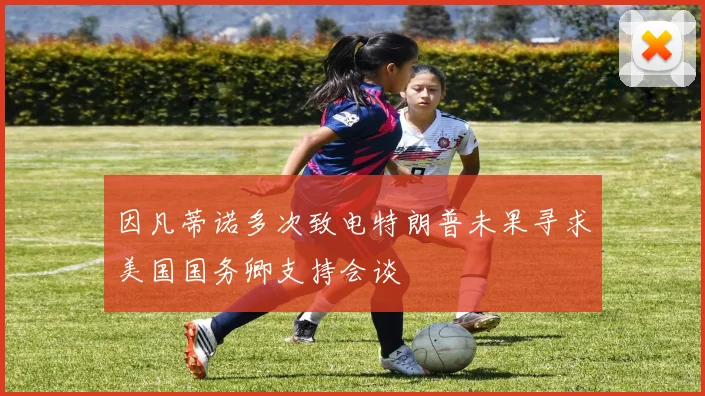 因凡蒂诺多次致电特朗普未果寻求美国国务卿支持会谈